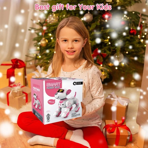 Robot electronic dog toy stunt - robot,