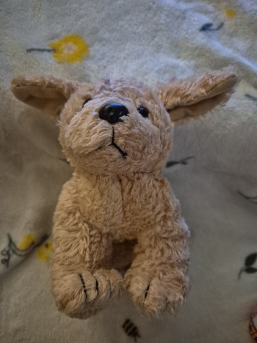 Beige fluffy dog teddy - fluffy,