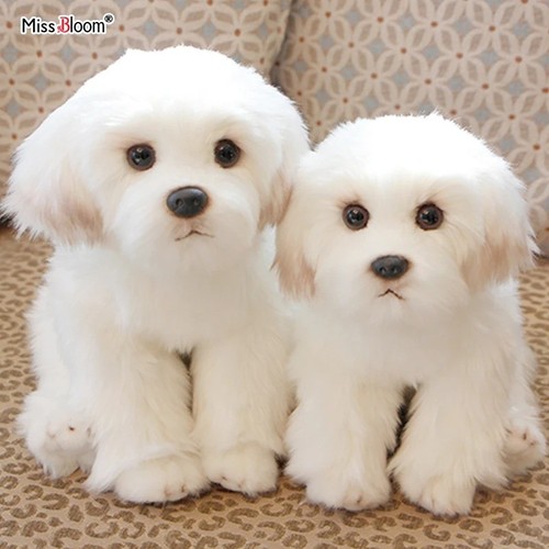 Maltese plush dog toy cute - maltese,