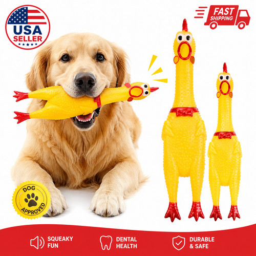 Squeaky screaming chicken dog - chicken,