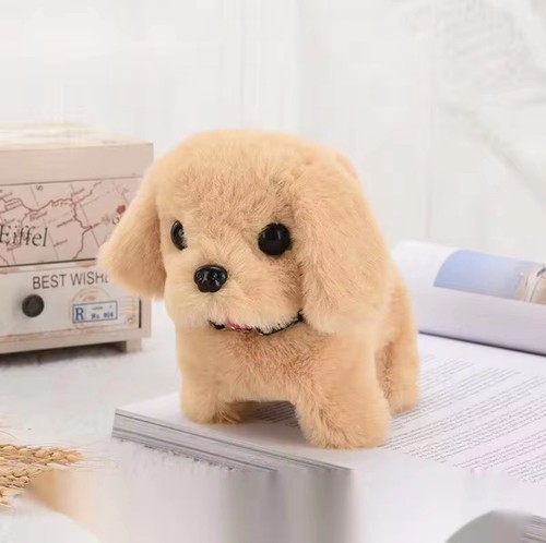 Electronic walking and - and, barking