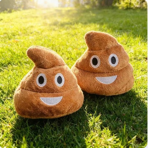 Funny poop plush toy makes - funny,