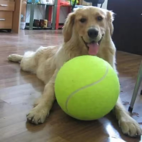Inch giant dog tennis - inch,