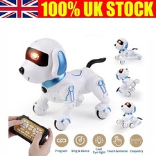 Remote Control Robot Dog Toy