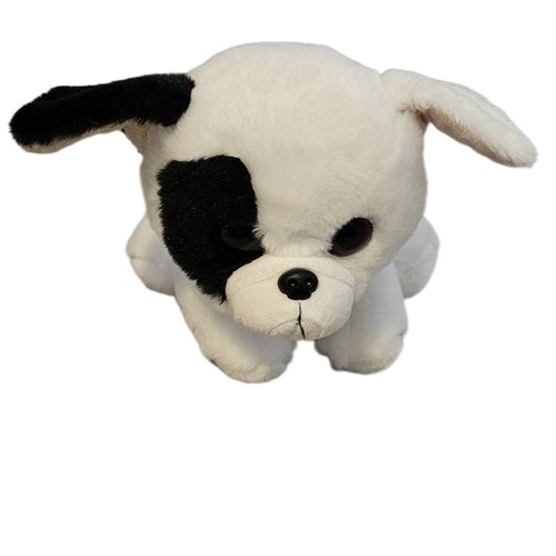 Kids black white dog - kids, &