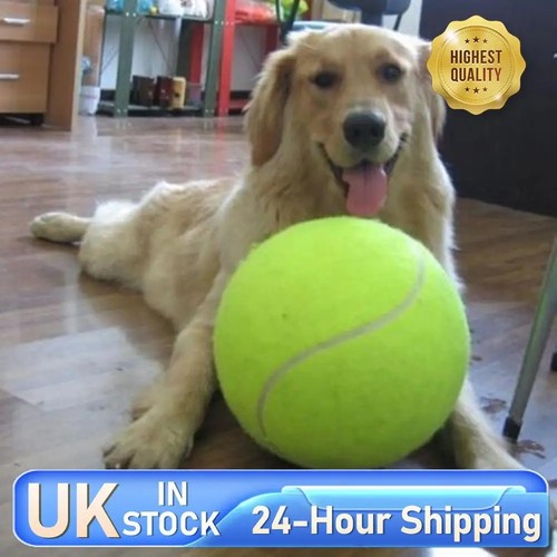 Inch giant dog tennis - dog,